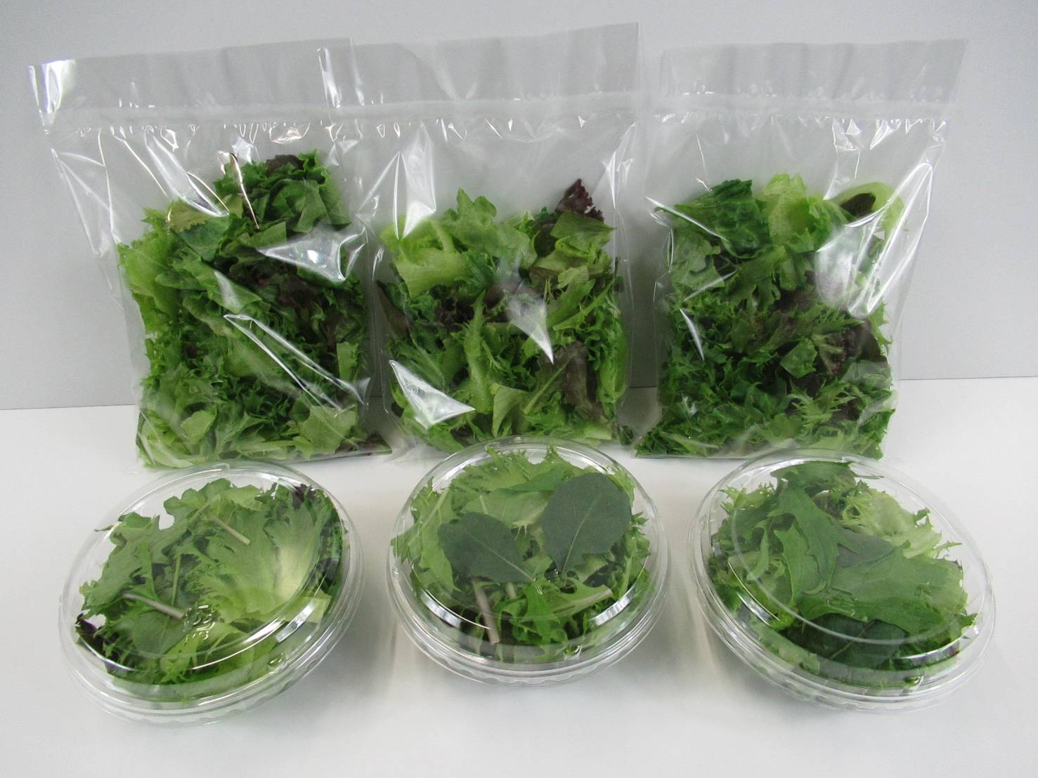 お野菜です！ オアシス春夏秋冬】旬のお野菜ボックス（10品以上）+大分県産調味料1品