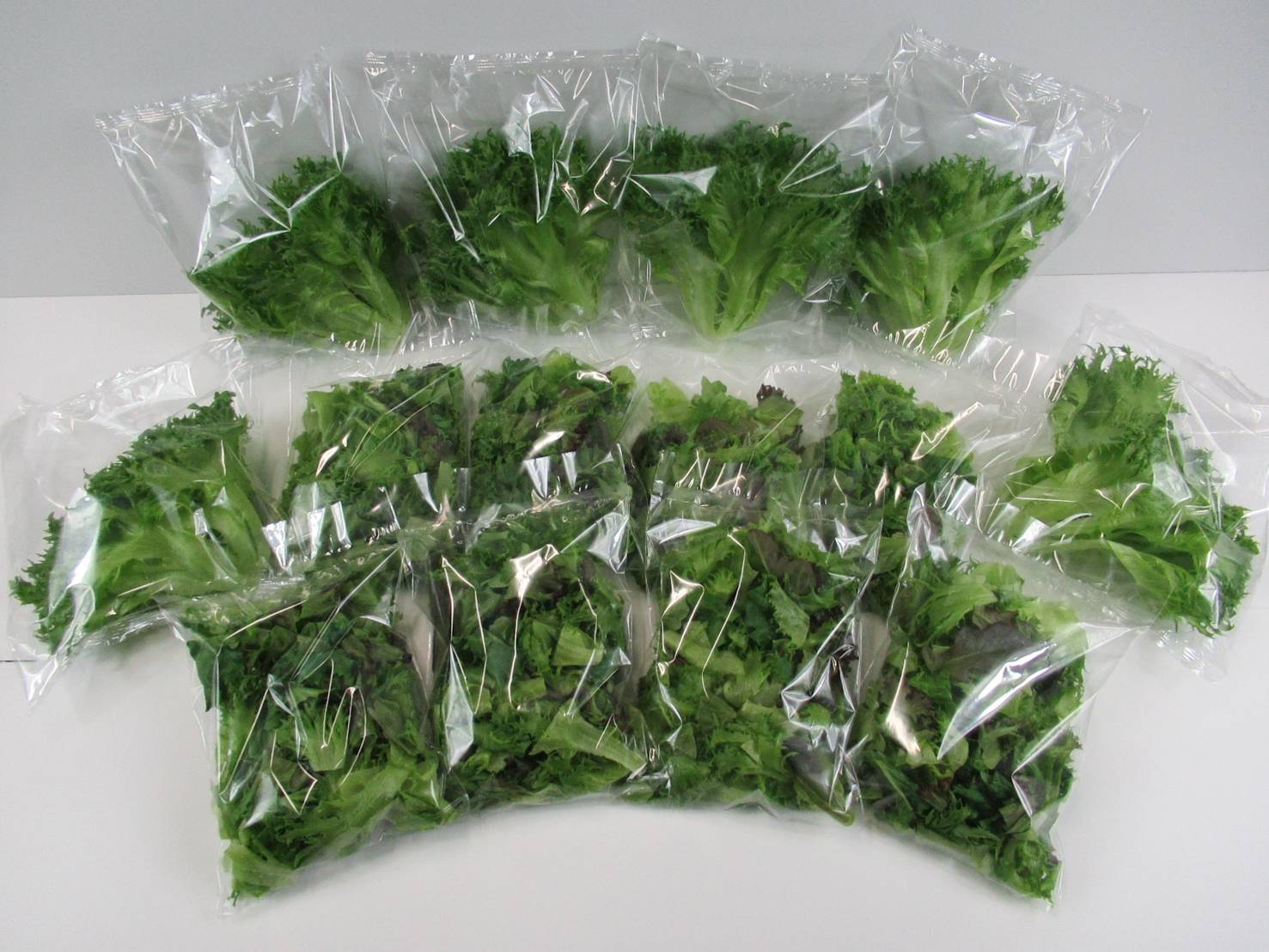 洗わずに食べられるお得な大容量セット（1240ｇ）